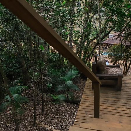 Chale Da Arvore, Vivenda Serra Velha, Chales De Montanha Timbe do Sul エクステリア 写真