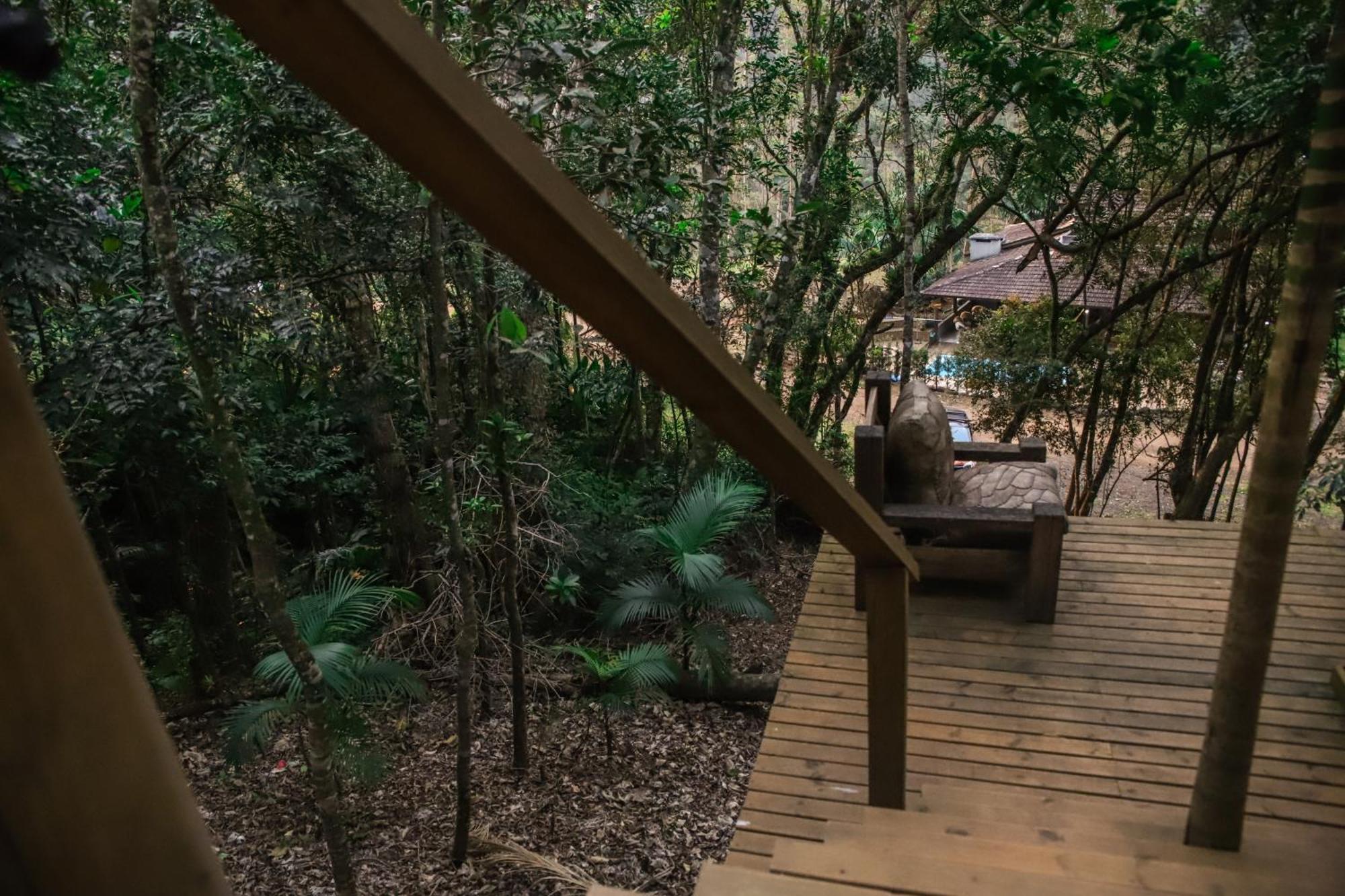 Chale Da Arvore, Vivenda Serra Velha, Chales De Montanha Timbe do Sul エクステリア 写真