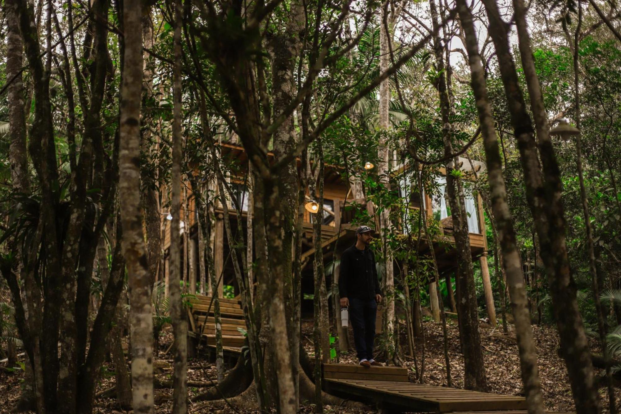 Chale Da Arvore, Vivenda Serra Velha, Chales De Montanha Timbe do Sul エクステリア 写真