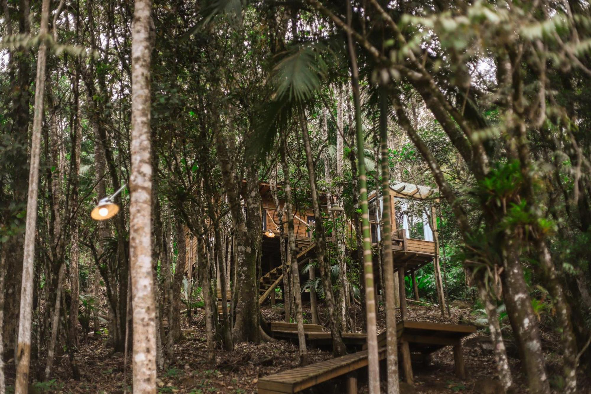 Chale Da Arvore, Vivenda Serra Velha, Chales De Montanha Timbe do Sul エクステリア 写真