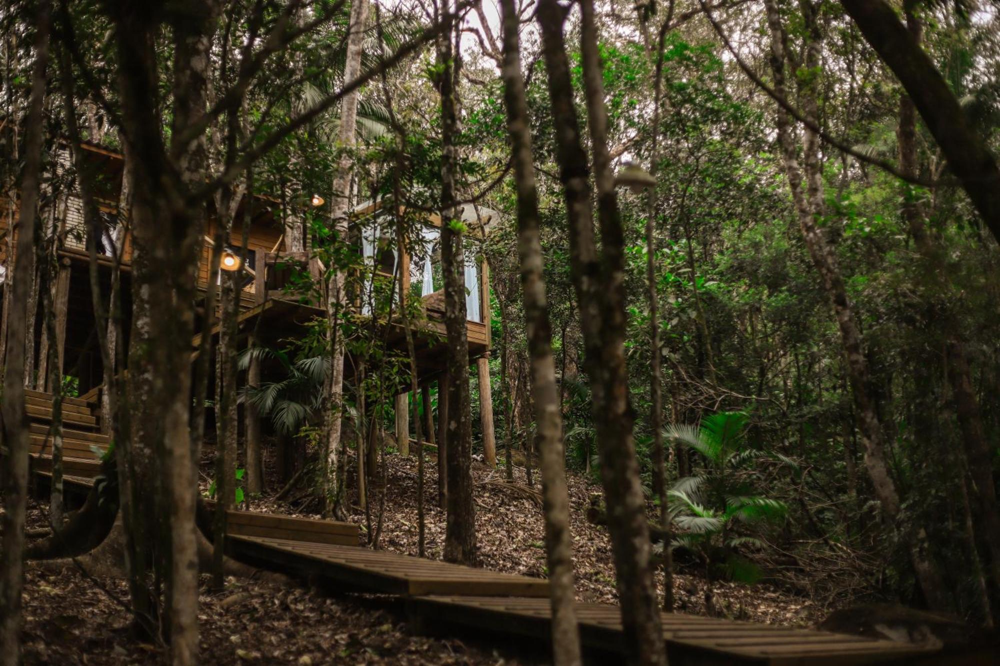 Chale Da Arvore, Vivenda Serra Velha, Chales De Montanha Timbe do Sul エクステリア 写真