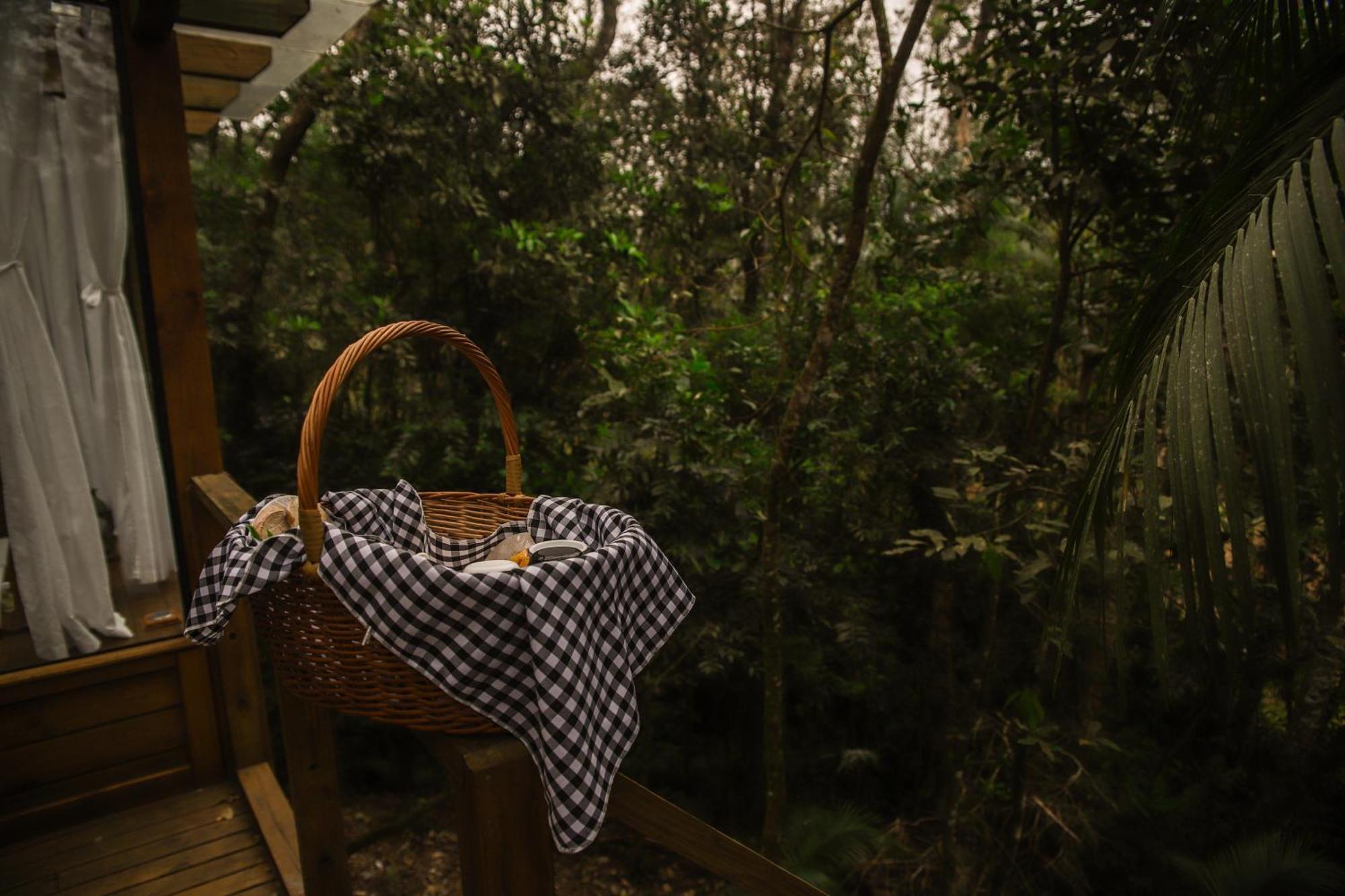 Chale Da Arvore, Vivenda Serra Velha, Chales De Montanha Timbe do Sul エクステリア 写真